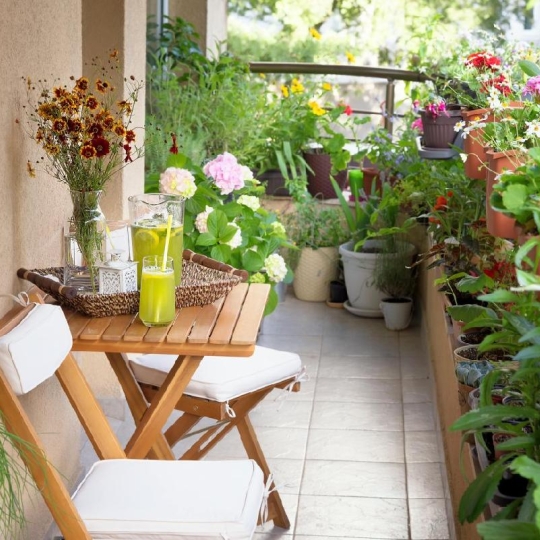 MA PETITE AGENCE : Appartement | TOULOUSE (31300) | 61.00m2 | 345 000 € 