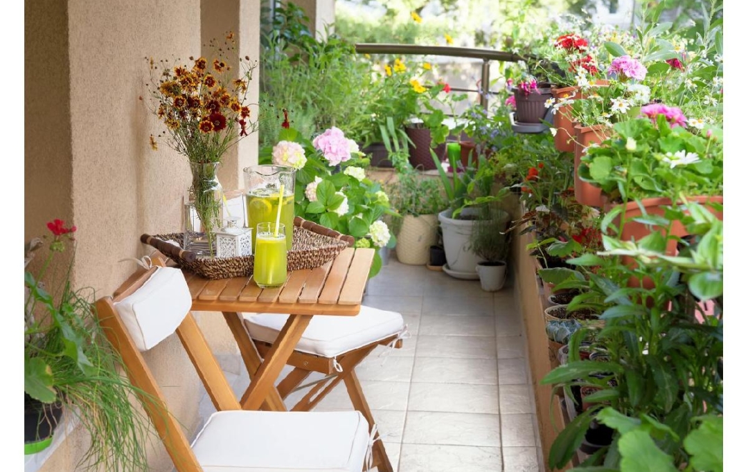 MA PETITE AGENCE : Appartement | TOULOUSE (31300) | 61 m2 | 345 000 € 