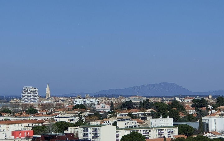  MA PETITE AGENCE Appartement | MONTPELLIER (34000) | 78 m2 | 135 000 € 